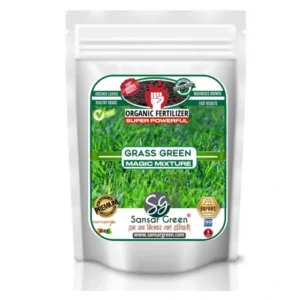 Sansar Green Grass Green Magic Mixture