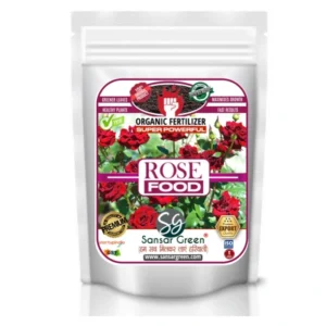 Sansar Green Rose food