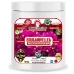 Sansar Green Bougainvilllea Bloom Powder Sansar Green