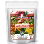 Sansar Green Flower Bulb Sansar Green