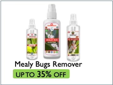 mealy bug remover sansar green