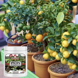 Sansar Green Iron Dust Powder For Plants