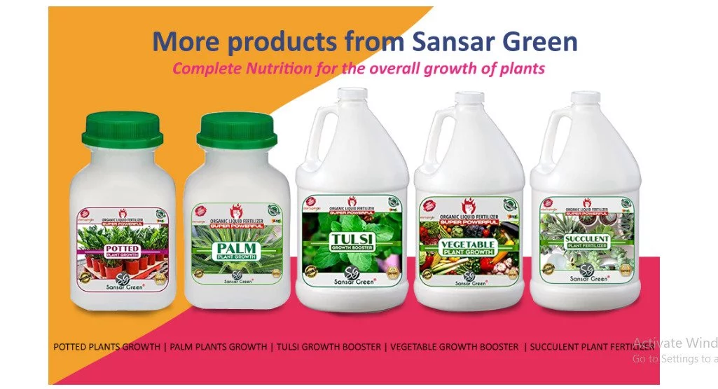 Sansar Green Jade Plants Growth Liquid