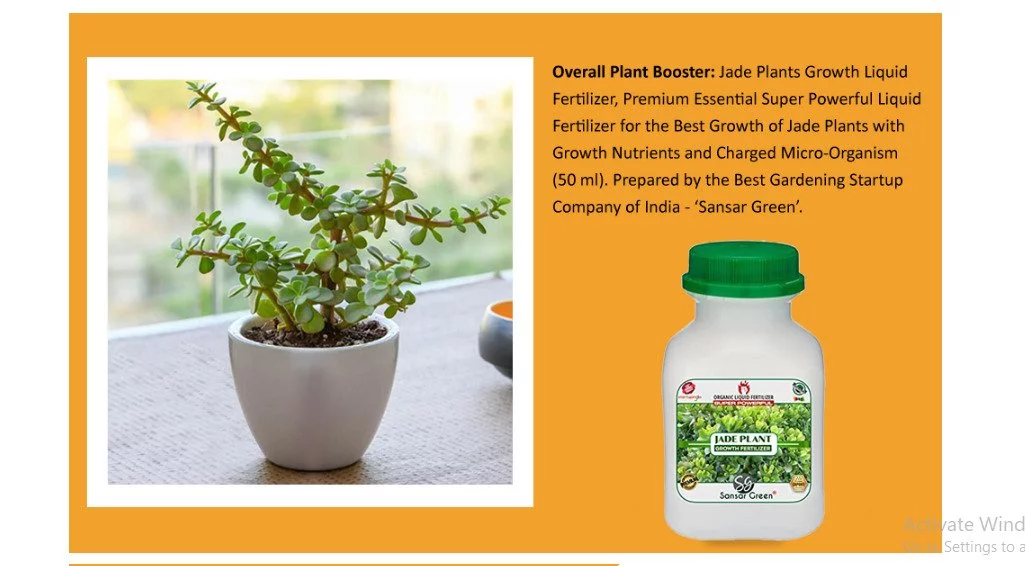 Sansar Green Jade Plants Growth Liquid