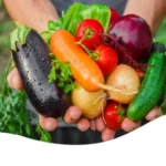 Sansar Green Neem Oil Fertilizer From Sansar Green