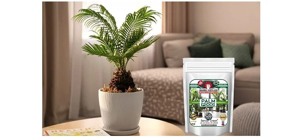 Sansar Green Palm food