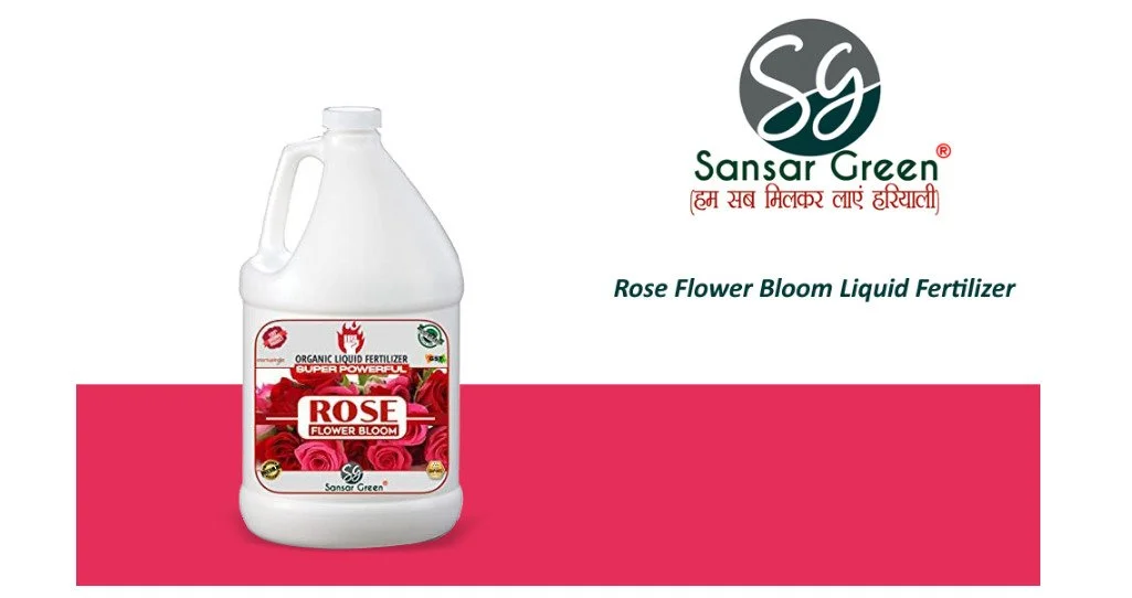 Sansar Green Rose Flower Bloom Liquid