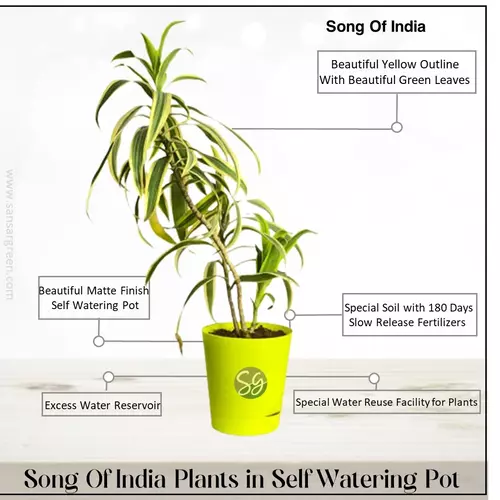 Sansar Green Song Of India