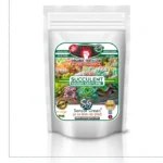 Sansar Green Succulent Magic Mixture