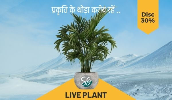 live-plants