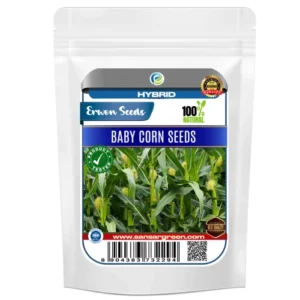 Erwon Hybrid Baby Corn Seeds From Sansar Green