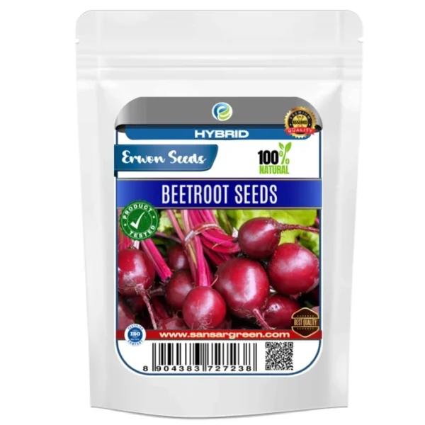 Erwon Beetroot Hybrid Seeds From Sansar Green