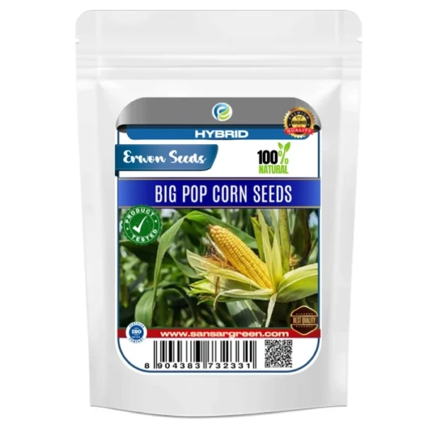 Erwon Hybrid Big Pop Corn Seeds From Sansar Green