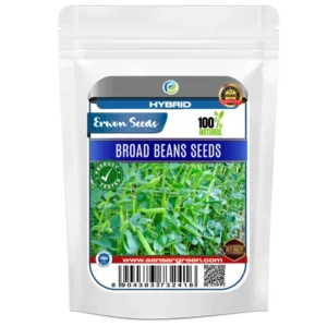 Erwon Hybrid Broad Beans Seeds From Sansar Green