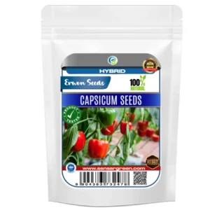 Erwon Organic Capsicum Seeds From Sansar Green