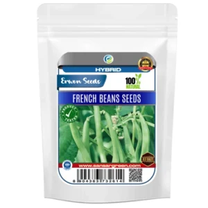 Erwon Hybrid French Beans Seeds From Sansar green