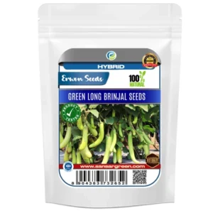 Erwon Green Long Brinjal Seeds From Sansar Green