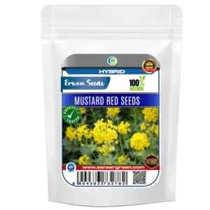 Erwon Hybrid Mustard Red Seeds From Sansar Green