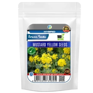Erwon Mustard Yellow Seeds From Sansar Green