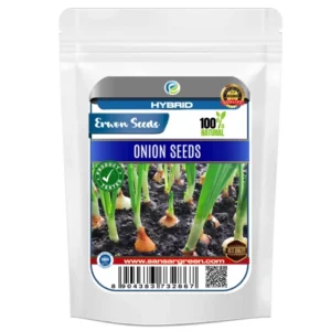 Erwon Hybrid Onion Seeds From Sansar Green