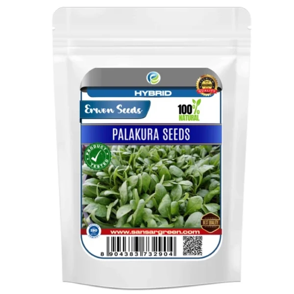 Erwon Palakura Seeds From Sansar Green