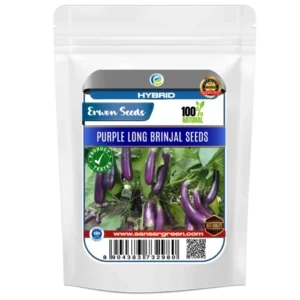 Erwon Hybrid Purple Long Brinjal From sansar Green