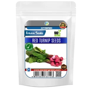 Erwon Hybrid Red Turnip Seeds Best quality seeds for healthy plants From Sansar Green