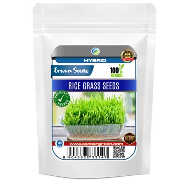 Erwon Hybrid Rice Grass Seeds Get the best quality Organic and Hybrids Rice Grass Seeds of healthy plants From Sansar Green