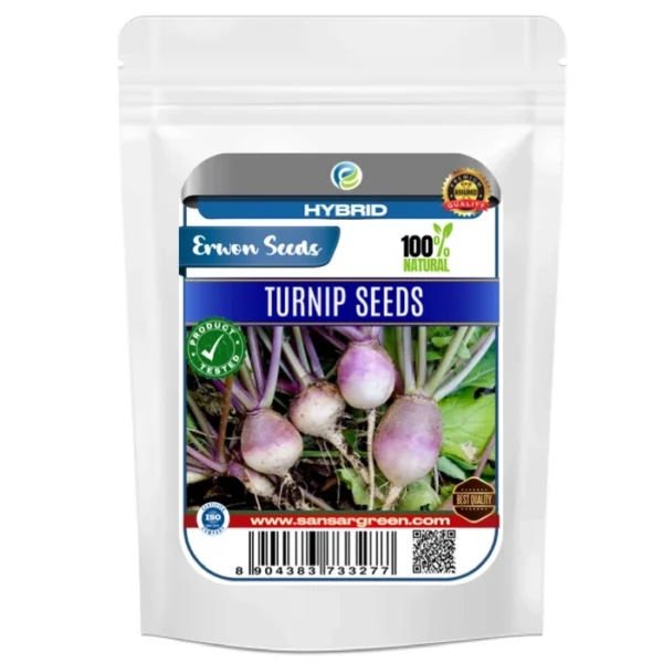 Erwon Hybrid Turnip Seeds From Sansar Green