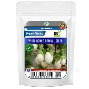 Erwon Hybrid White Round Brinjal Seeds From Sansar Green