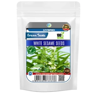 Erwon Hybrid White Sesame Seeds From Sansar Green