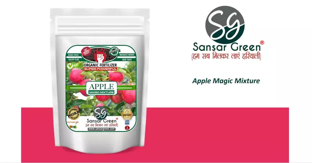 Sansar Green Apple Magic Mixture From Sansar Green