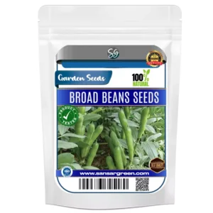 Sansar Green Broad Beans Seeds From Sansar Green