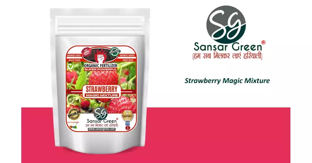 Sansar Green Strawberry Magic Mixture From Sansar Green