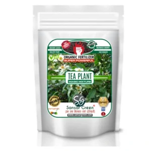 Sansar Green Tea Plant Magic Mixture