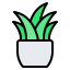 Best Potted Plants Bed room From Sansar Green