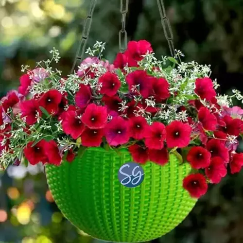 Sansar Green Beautiful Round Hanging Flower Pot From Sansar Green