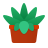 Best Potted Cactus Plants From Sansar Green