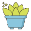 Best Potted Succulent Plants From Sansar Green