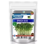 Erwon Spinach Organic Microgreen Seeds From Sansar Green