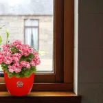 Sansar Green Round Planter Pot From Sansar Green