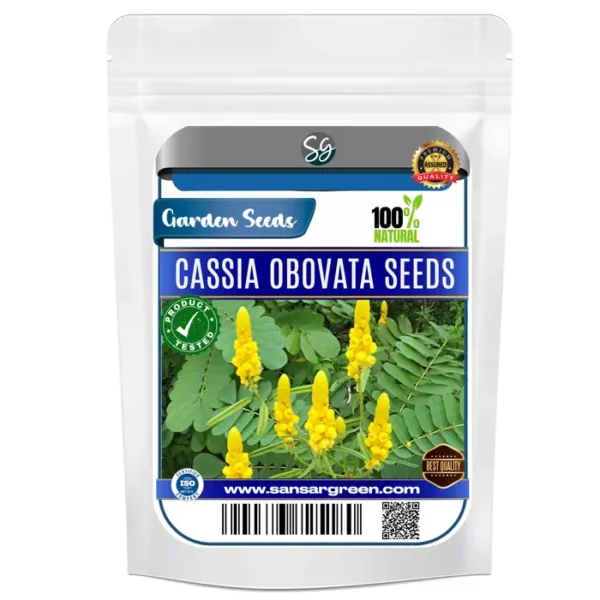 Sansar Green Cassia Obovate Seeds From Sansar Green
