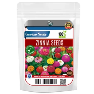 Sansar Green Zinnia Flower Seeds From Sansar Green