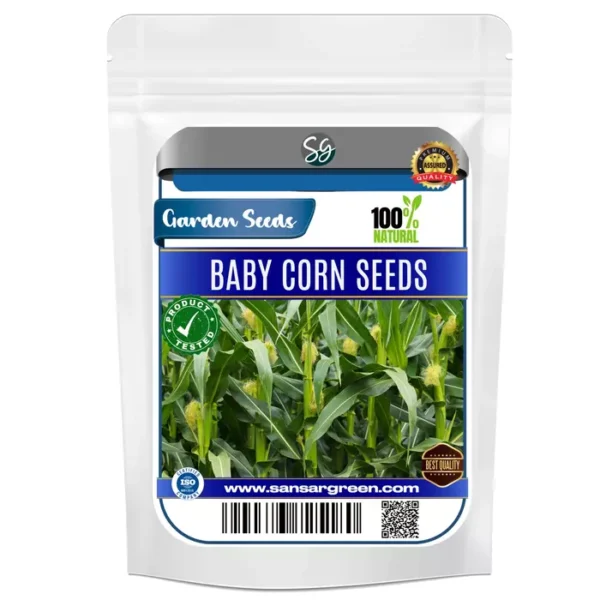 Sansar Green Baby Corn Seeds From Sansar Green