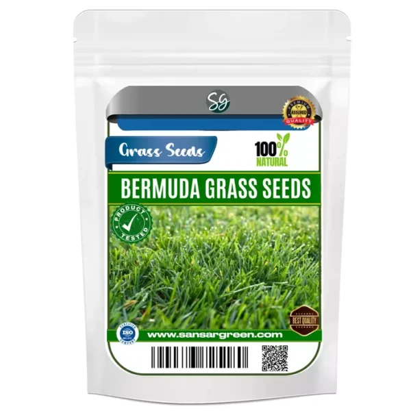 Sansar Green Bermuda Grass Seeds From Sansar Green