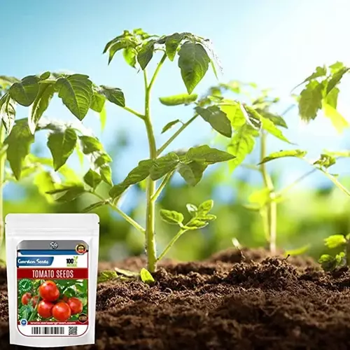 Sansar Green Combo Pack of 6 Vegetable Seeds