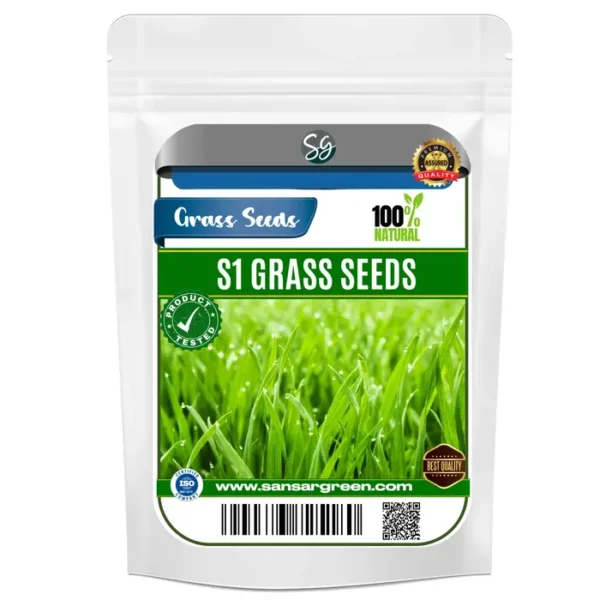 Sansar Green S1 Grass Seeds From Sansar Green