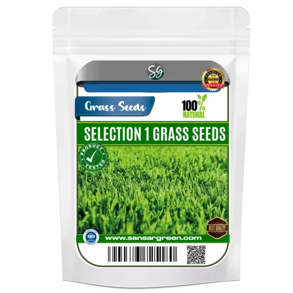 Sansar Green Selection 1 Grass Seeds From Sansar Green