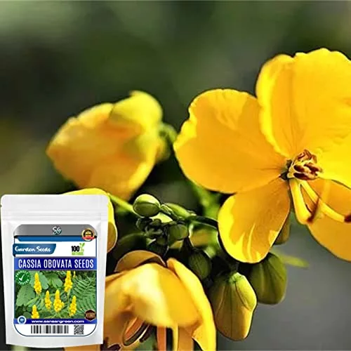 Sansar Green Combo Pack of 6 Flower Seeds