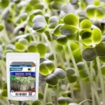 Sansar Green Micro green Combo Seeds